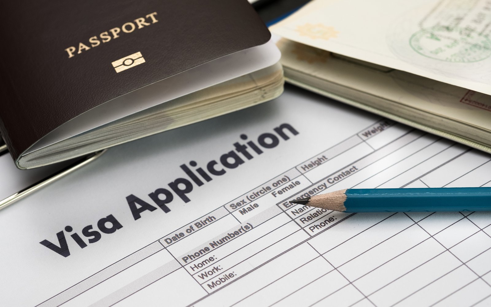 Professional working in modern Canadian office